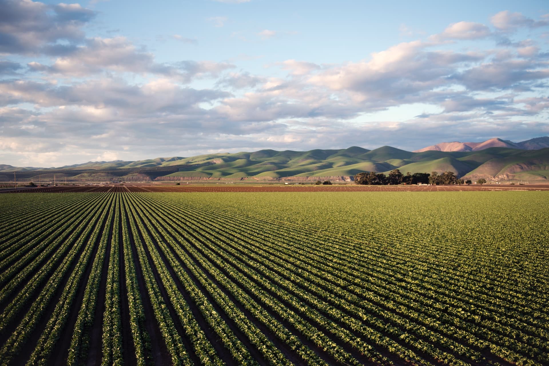 6 vantagens de cooperativas agrícolas