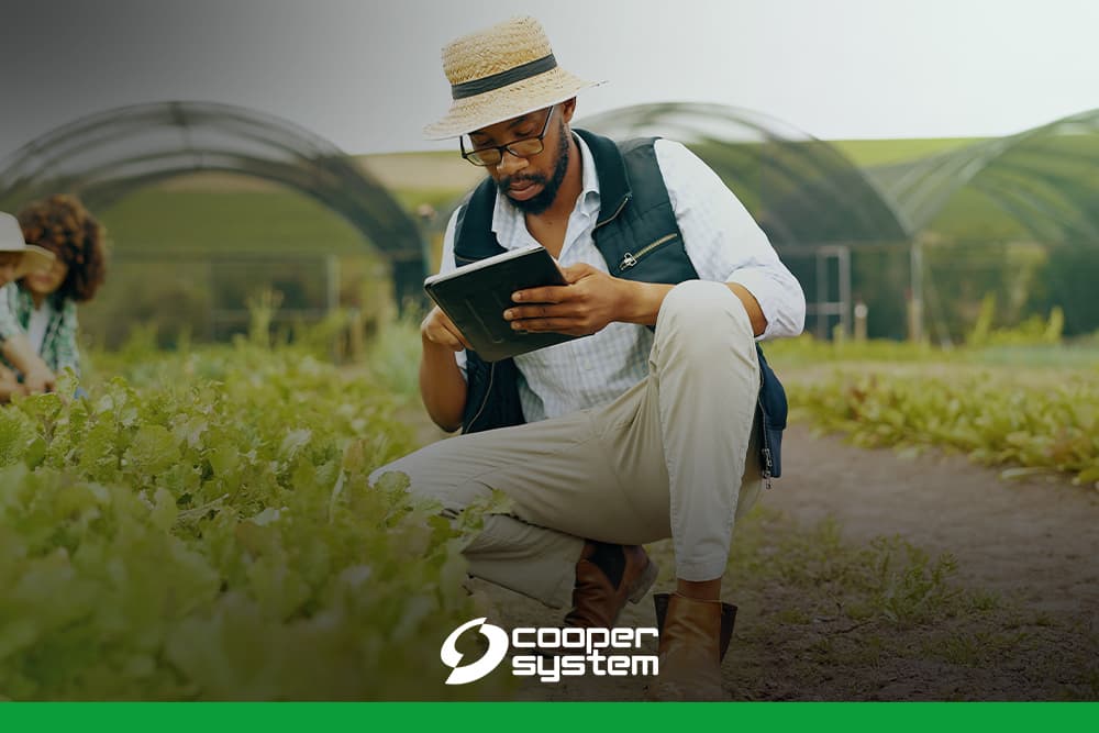 Software para Agronegócio: saiba como otimizar a gestão agrícola