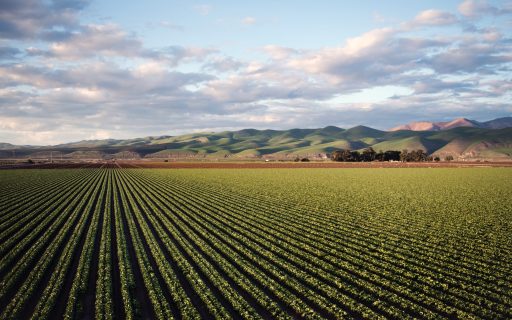 6 vantagens de cooperativas agrícolas
