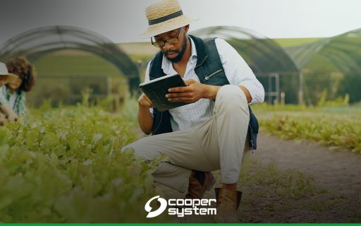 Software para Agronegócio: saiba como otimizar a gestão agrícola